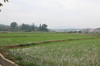 津市：推进化肥减量 确保粮食安全