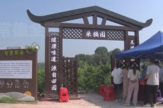 临澧：红色旅游带动农业“采摘热”