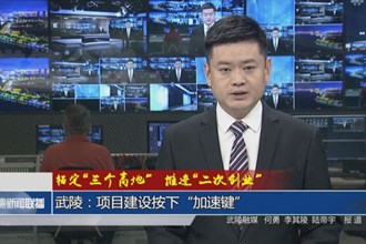 武陵：项目建设按下“加速键”