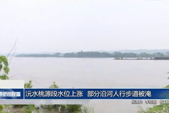 沅水桃源段水位上涨 部分沿河人行步道被淹