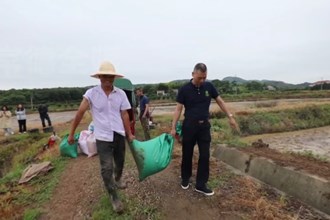 津市：推广无人机植保 助力晚稻高效开播