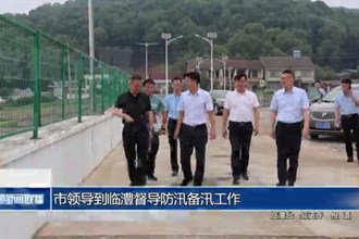 市领导到临澧督导防汛备汛工作