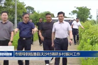 市领导到临澧县沃沙村调研乡村振兴工作