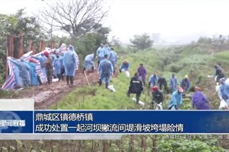 鼎城区镇德桥镇：成功处置一起河坝撇流间堤滑坡垮塌险情