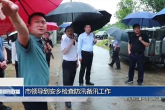 市领导到安乡检查防汛备汛工作