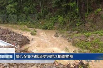 爱心企业为桃源受灾群众捐赠物资