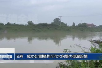 汉寿：成功处置撇洪河河水向堤内倒灌险情