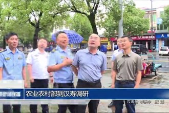 农业农村部到汉寿调研