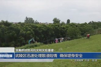 统筹抓好防汛抗灾和灾后重建(7月5日)