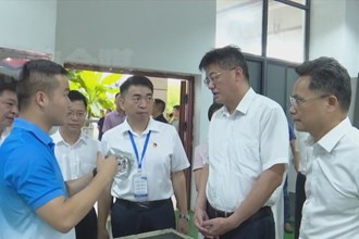 罗毅君专题调研就业工作并主持召开座谈会 