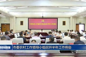 常德市委农村工作领导小组召开半年工作例会