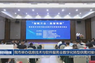 常德市举办信息技术与软件服务业数字化转型供需对接会