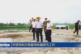 市领导到汉寿督导检查防汛工作