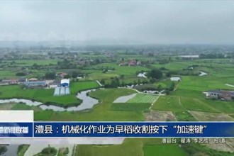 澧县：机械化作业为早稻收割按下“加速键”
