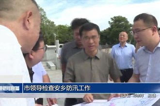 市领导检查安乡防汛工作