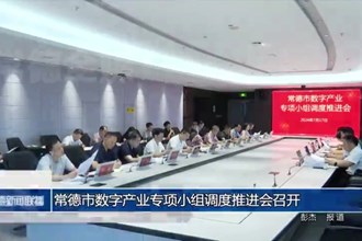 常德市数字产业专项小组调度推进会召开