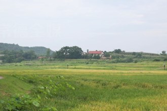 津市：有序推进农药减量 助力农业绿色发展