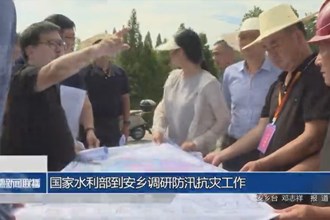 水利部到安乡调研防汛抗灾工作
