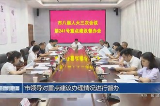 市领导对重点建议办理情况进行督办