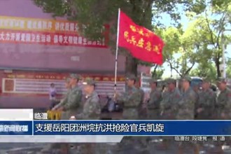 临澧：支援岳阳团洲垸抗洪抢险官兵凯旋