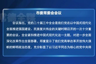 常德市委常委会召开会议传达学习党的二十届三中全会精神