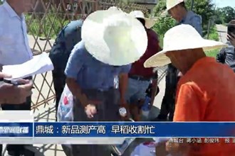 鼎城：新品测产高 早稻收割忙