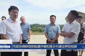 市政协调研组到临澧开展和美乡村建设界别视察