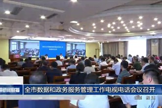 常德市数据和政务服务管理工作电视电话会议召开