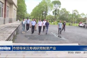 市领导来汉寿调研预制菜产业