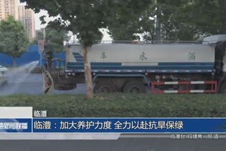 临澧：加大养护力度 全力以赴抗旱保绿