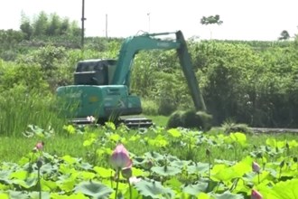 津市：荒地变良田 增收又增效