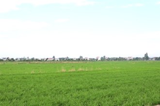 鼎城区韩公渡镇：植保无人机为晚稻保驾护航