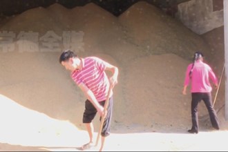 汉寿：创新收购方式 守护粮食安全