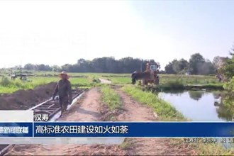 汉寿：高标准农田建设如火如荼