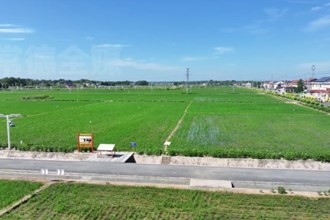 鼎城区谢家铺镇：晚稻培管正当时 禾绿苗壮望丰收
