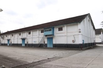 鼎城：粮食住进“空调房” 绿色储粮减损耗