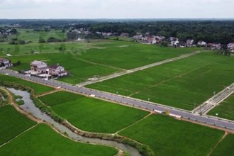 鼎城：引水抗旱 晚稻“解渴”