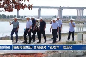 湖南财鑫集团：金融服务“直通车”进园区 特色产业集群上“送解优”