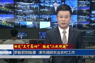 罗毅君到临澧、津市调研农业农村工作
