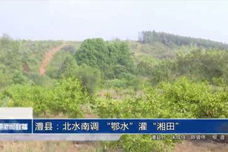 澧县：北水南调 “鄂水”灌“湘田”