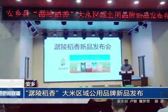安乡：“潺陵稻香”大米区域公用品牌新品发布