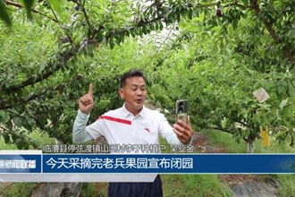 临澧：我家果子成了“牌子货”