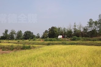 津市：“旱改水”项目见成效