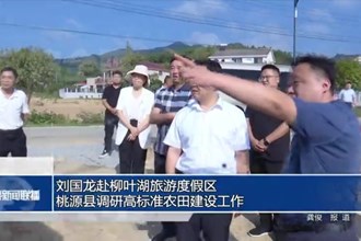 刘国龙赴柳叶湖旅游度假区、桃源县调研高标准农田建设工作