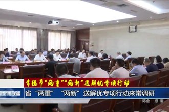 省“两重”“两新”送解优专项行动来常调研