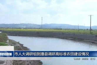市人大调研组到澧县调研高标准农田建设情况