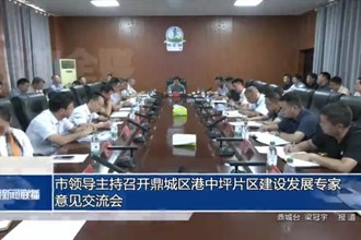 市领导主持召开鼎城区港中坪片区建设发展专家意见交流会