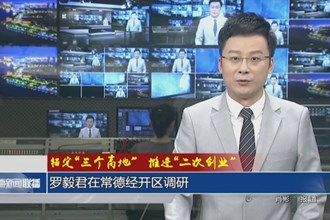 罗毅君在常德经开区调研