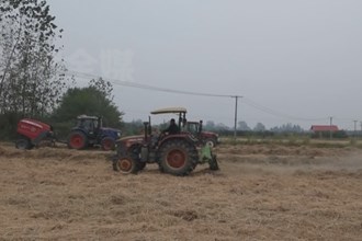 津市：秸秆回收再利用 变废为宝促增收