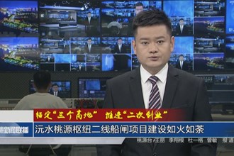 沅水桃源枢纽二线船闸项目建设如火如荼